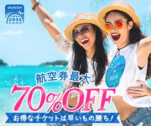 格安航空券予約サイト　─ｓｋｙｔｉｃｋｅｔ─　