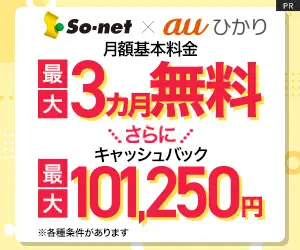 【公式】ネットとセットでスマホがおトク【So-net 光 (auひかり)】
