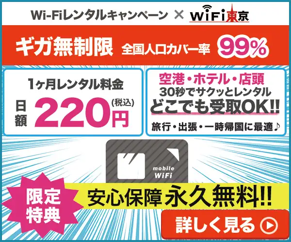 即日発送！国内用WiFIレンタルサービス【WiFi東京レンタルショップ】