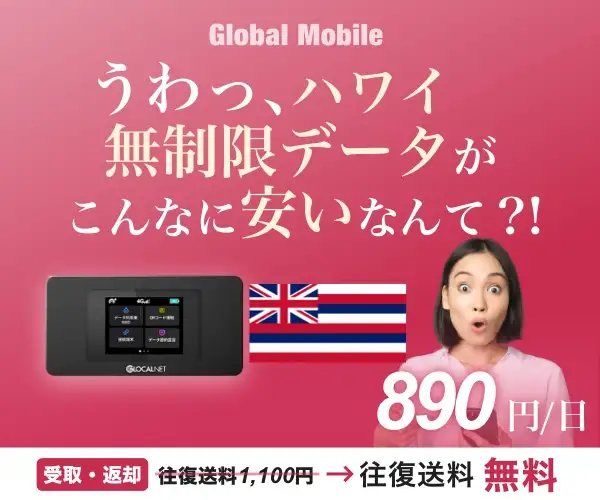 ハワイ専用レンタルWiFiルーター【アロハデータ】