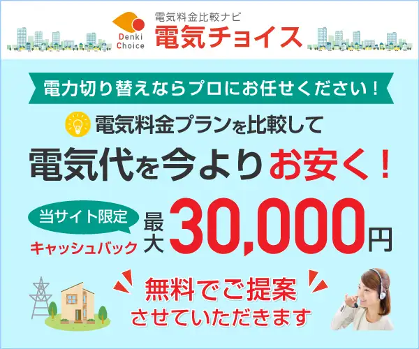 当サイト限定　最大30000円現金キャッシュバック！【電気チョイス】